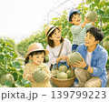 観光農園でメロン狩りをたのしんでいる家族のイラスト 観光農園でメロン狩りをたのしんでいる家族のイラスト 139799223