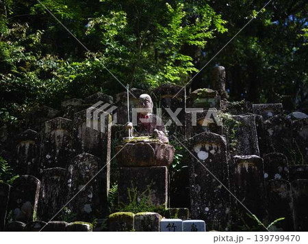 《高知県》竹林寺・お地蔵様 《高知県》竹林寺・お地蔵様 139799470