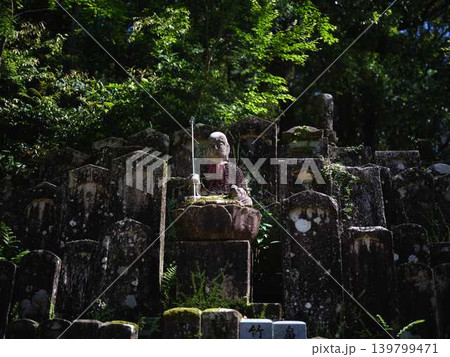 《高知県》竹林寺・お地蔵様 《高知県》竹林寺・お地蔵様 139799471