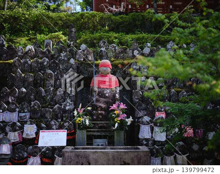 《高知県》竹林寺・お地蔵様 《高知県》竹林寺・お地蔵様 139799472