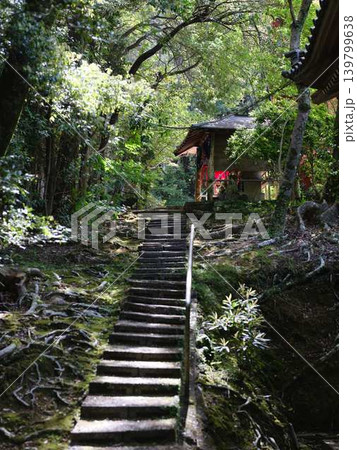 竹林寺の階段 139799638