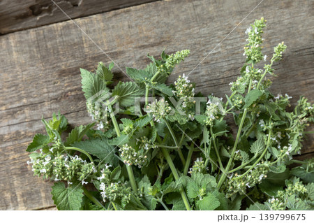 Fresh green mint melissa with flowers on a rustic wooden table. Organic natural plant leaf. View from above. 139799675