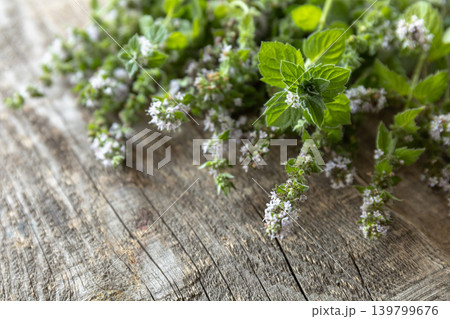 Fresh green mint melissa with flowers on a rustic wooden table. Organic natural plant leaf. 139799676