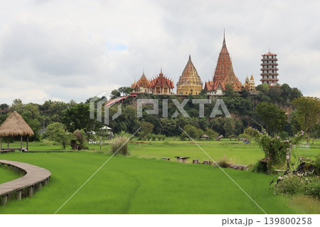 Temple Complex on Hilltop with Lush Green Fields 139800258