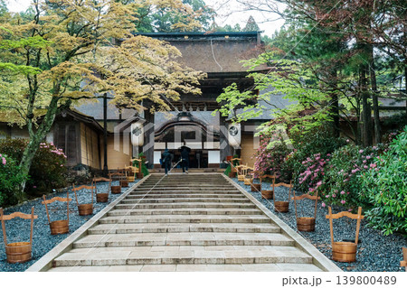 高野山 金剛峯寺に咲く石楠花 高野山 金剛峯寺に咲く石楠花 139800489