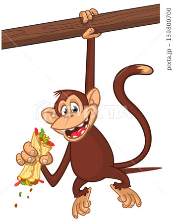 Cartoon funny monkey chimpanzee holding falafel or kebab in his hands. Vector illustration of happy monkey character design isolated. 139800700