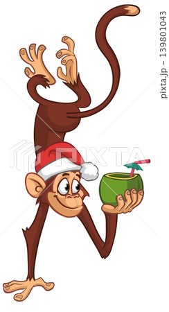 Cartoon funny monkey chimpanzee holding green coconut cocktail and hanging upside down in Santa Hat. Christmas vector illustration Cartoon funny monkey chimpanzee holding green coconut cocktail and hanging upside down in Santa Hat. Christmas vector illustration 139801043
