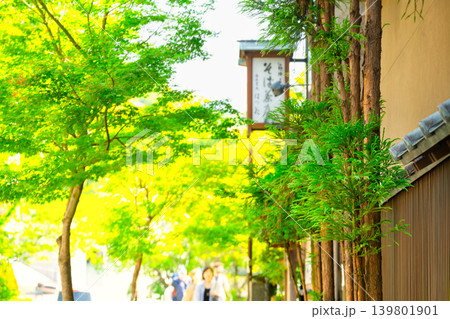 神奈川県・初夏の箱根湯本 温泉街 神奈川県・初夏の箱根湯本 温泉街 139801901