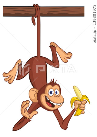 Cartoon funny brown monkey chimpanzee hanging from the wood branch holding banana. Vector illustration isolated on white Cartoon funny brown monkey chimpanzee hanging from the wood branch holding banana. Vector illustration isolated on white 139801975