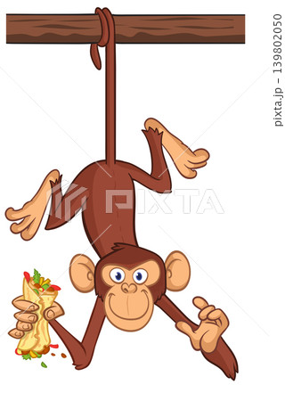 Cartoon funny monkey chimpanzee holding burger, falafel or kebab in his hands. Vector illustration of happy monkey character design isolated. Cartoon funny monkey chimpanzee holding burger, falafel or kebab in his hands. Vector illustration of happy monkey character design isolated. 139802050