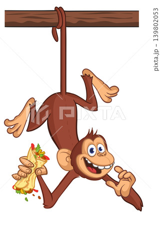 Cartoon funny monkey chimpanzee holding burger, falafel or kebab in his hands. Vector illustration of happy monkey character design isolated. Cartoon funny monkey chimpanzee holding burger, falafel or kebab in his hands. Vector illustration of happy monkey character design isolated. 139802053