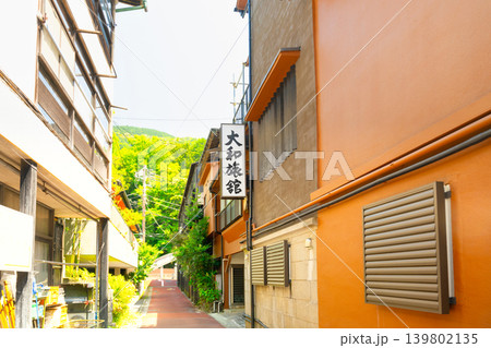 神奈川県・箱根湯本 路地裏に佇む温泉宿 神奈川県・箱根湯本 路地裏に佇む温泉宿 139802135