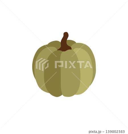 Hand-drawn autumn illustration of pumpkin isolated on white background for packaging and fall vibes cozy projects 139802383