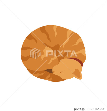 Hand-drawn autumn illustration of red cozy sleeping domestic cat for packaging and fall vibes cozy projects Hand-drawn autumn illustration of red cozy sleeping domestic cat for packaging and fall vibes cozy projects 139802384