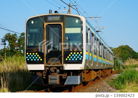 富浦ストレートを走るE131系 富浦ストレートを走るE131系 139802423