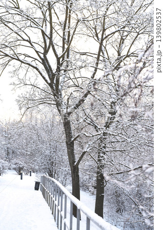 Path in a snowy park. Winter landscape. Path in a snowy park. Winter landscape. 139802537