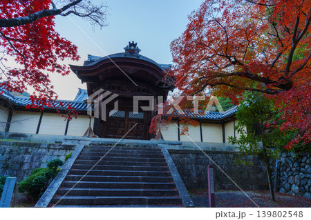 秋の光明寺 紅葉と勅使門 秋の光明寺 紅葉と勅使門 139802548