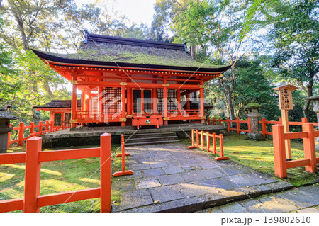 大分県宇佐神宮境内の国指定重要文化財若宮神社 139802610