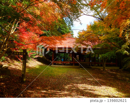 大分県中津市のシンボル八面山にある箭山神社の紅葉 139802621