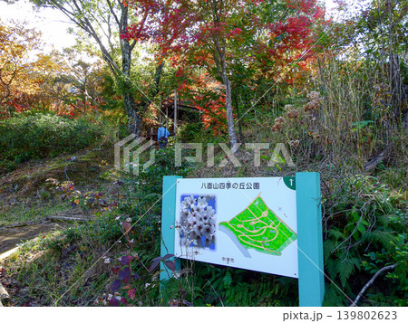 大分県中津市の八面山にある四季の丘公園 大分県中津市の八面山にある四季の丘公園 139802623