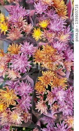 Beautiful bouquets of colorful striped purple and orange chrysanthemum flowers displayed at a market corner Beautiful bouquets of colorful striped purple and orange chrysanthemum flowers displayed at a market corner 139803718