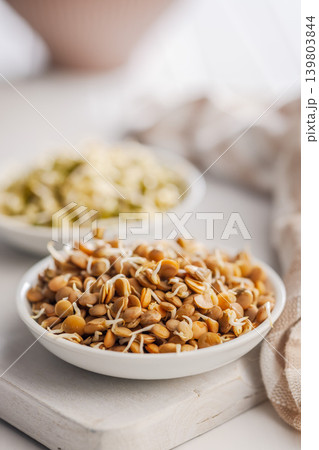 Sprouted Lentils in White Bowl on Wooden Board Close-Up Healthy Plant-Based Protein Food Sprouted Lentils in White Bowl on Wooden Board Close-Up Healthy Plant-Based Protein Food 139803844