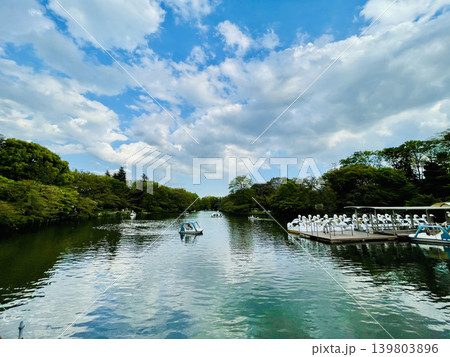 《東京》井の頭公園 139803896