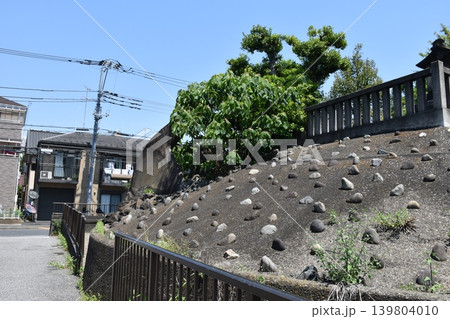 平井浅間神社の石造富士塚と鳥居 平井浅間神社の石造富士塚と鳥居 139804010