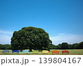 青空とカラフルベンチのある公園の風景 139804167