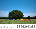 青空とカラフルベンチのある公園の風景 139804168