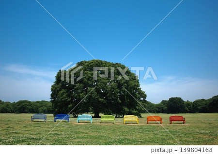 青空とカラフルベンチのある公園の風景 139804168