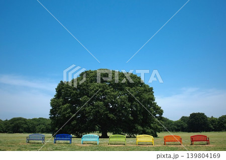 青空とカラフルベンチのある公園の風景 139804169