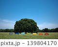 青空とカラフルベンチのある公園の風景 139804170