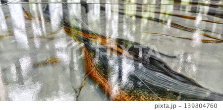 Glossy marble texture with gold veins and light reflection Glossy marble texture with gold veins and light reflection 139804760