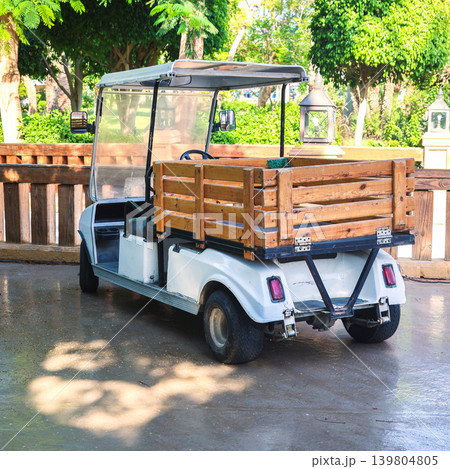 A small cargo golf cart is an indispensable assistant for a farmer on the farm 139804805