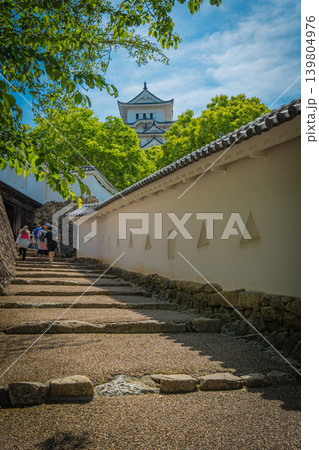 日本 青空と兵庫の姫路城 日本 青空と兵庫の姫路城 139804976