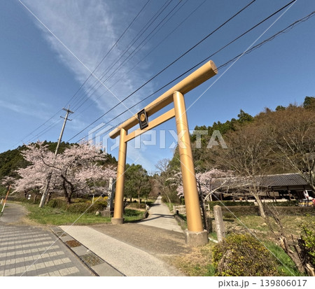 黄金山神社の金の鳥居 黄金山神社の金の鳥居 139806017