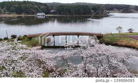 満開の平筒沼の桜 空撮 満開の平筒沼の桜 空撮 139806093