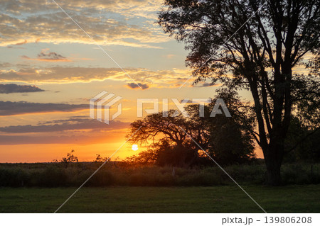 Horizontal wallpaper with a beautiful view of a sunset over a vast agricultural field at dusk, representing sustainable agriculture and the beauty of rural Argentina. 139806208
