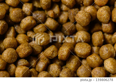 Pet food granules scattered on a surface, showcasing their round, textured forms in warm lighting Pet food granules scattered on a surface, showcasing their round, textured forms in warm lighting 139806278