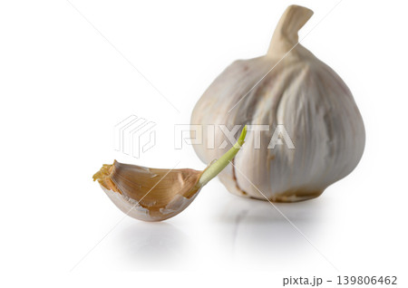 Garlic Head and Cloves Arrangement Isolated on Whit Garlic Head and Cloves Arrangement Isolated on Whit 139806462