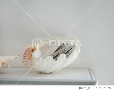 White sea shell holding metal tools on a white background. Beauty salon equipment or medical instrument holder. Minimalist home decor concept. White sea shell holding metal tools on a white background. Beauty salon equipment or medical instrument holder. Minimalist home decor concept. 139806879