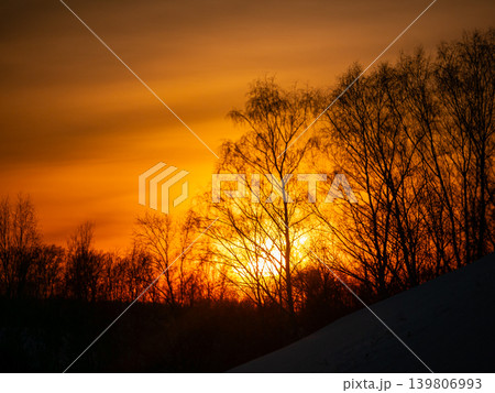 Silhouetted birch trees against fiery orange sunset over snowy hill. Warm glowing sky and barren branches in winter landscape at dusk. Silhouetted birch trees against fiery orange sunset over snowy hill. Warm glowing sky and barren branches in winter landscape at dusk. 139806993