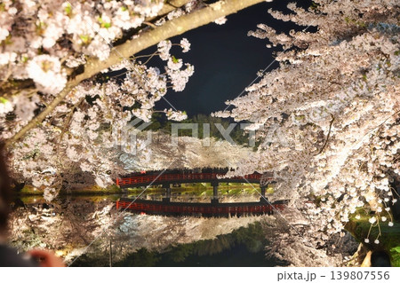 桜 さくら サクラ 139807556