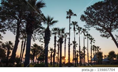 Palm trees silhouetting a Kemer resort at sunset Palm trees silhouetting a Kemer resort at sunset 139807704