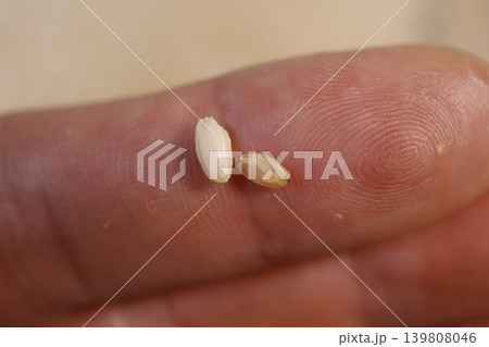 Seed on Finger Close-up Seed on Finger Close-up 139808046