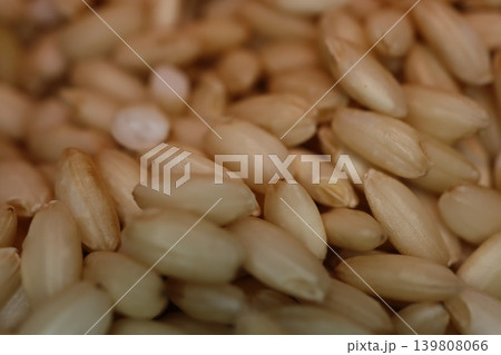 Close-up of Wheat Grains 139808066