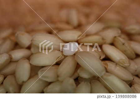 Close-up of Pine Nuts Close-up of Pine Nuts 139808086