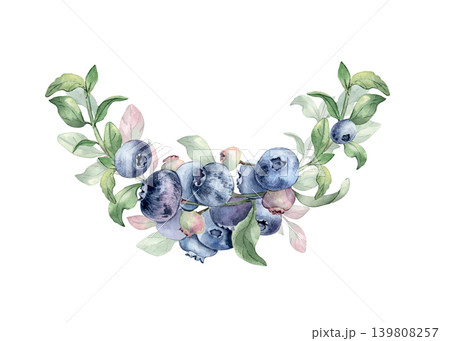 Blueberry wreath hand painted with watercolor arc isolated on white. Berry branch for cosmetic or jam design. Natural organic fruit design element of semicircle of fresh berries for drink packaging. Blueberry wreath hand painted with watercolor arc isolated on white. Berry branch for cosmetic or jam design. Natural organic fruit design element of semicircle of fresh berries for drink packaging. 139808257