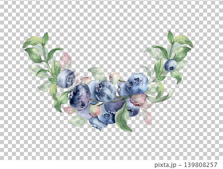 Blueberry wreath hand painted with watercolor arc isolated on white. Berry branch for cosmetic or jam design. Natural organic fruit design element of semicircle of fresh berries for drink packaging. Blueberry wreath hand painted with watercolor arc isolated on white. Berry branch for cosmetic or jam design. Natural organic fruit design element of semicircle of fresh berries for drink packaging. 139808257